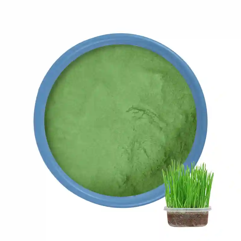 Organic Barley Grass Juice Powder Bulk